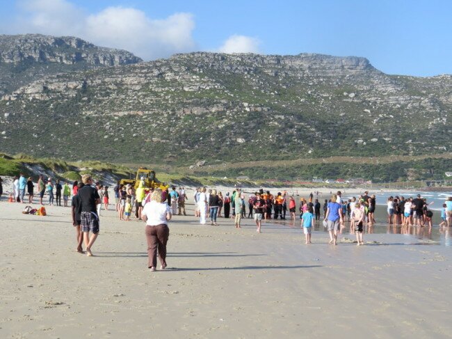 Crowd gathering on Fish Hoek beach to watch a whale carcass being brought ashore. Photo: Viv of Scenic South