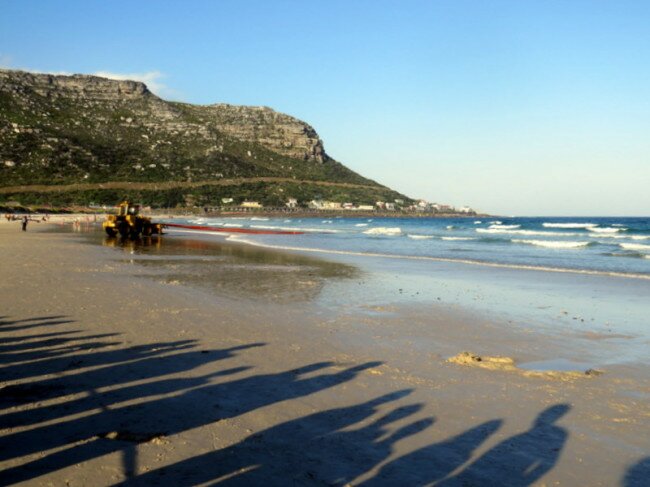 Tight lines as the bulldozer tries to draw the whale carcass onto Fish Hoek beach. Photo Viv of Scenic South