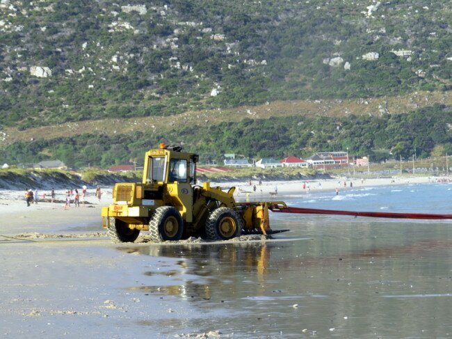 Spinning wheels as the bulldozer tries once more to draw the whale carcass onto Fish Hoek beach. Photo: Viv of Scenic South