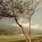 Rainbow-over-Fish-Hoek-spor