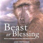 Beast or Blessing Cover