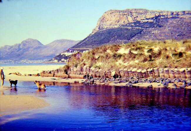 Photo credit: Lewis Walter - the tail-end of the dyke built in the early 1900s at the mouth of the Silvermine River at Clovelly Corner.