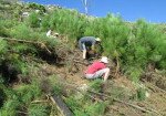 Friends Of Silvermine Nature Area Newsletter May 2014